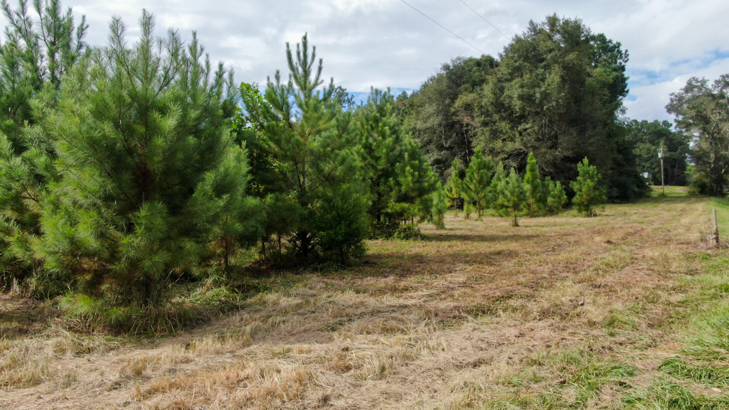 METES & BOUNDS - Land