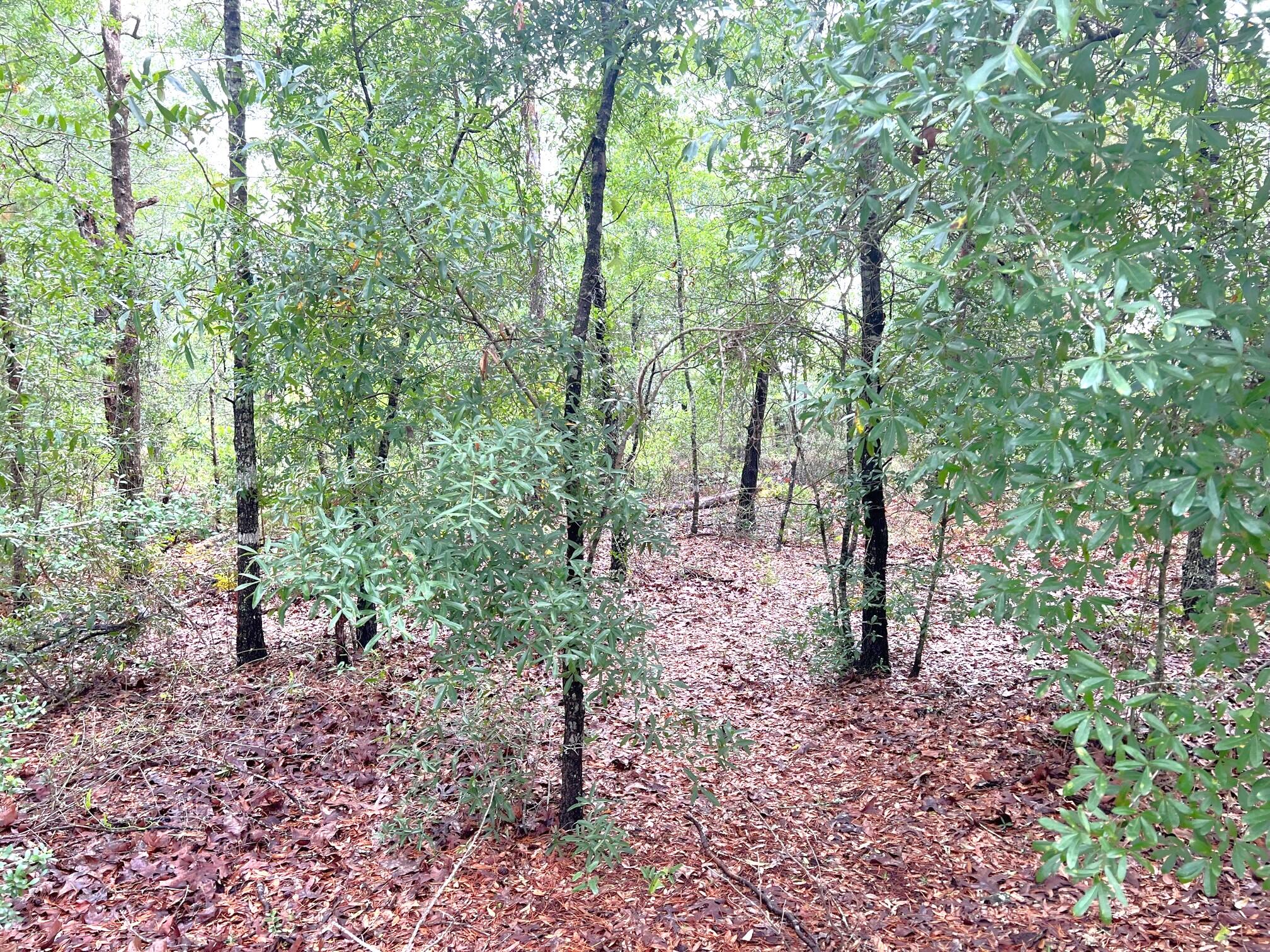 OAKWOOD HILLS UNIT 1 - Land