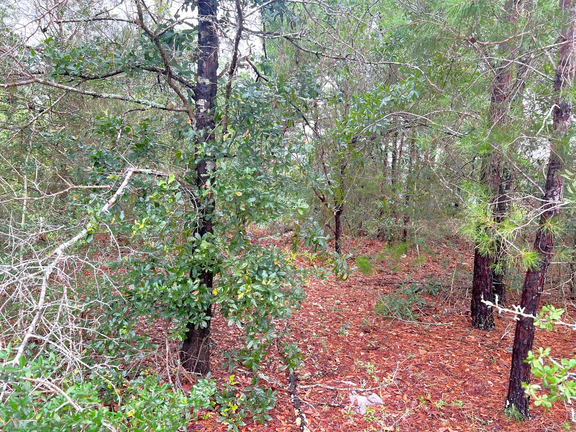 OAKWOOD HILLS UNIT 1 - Land