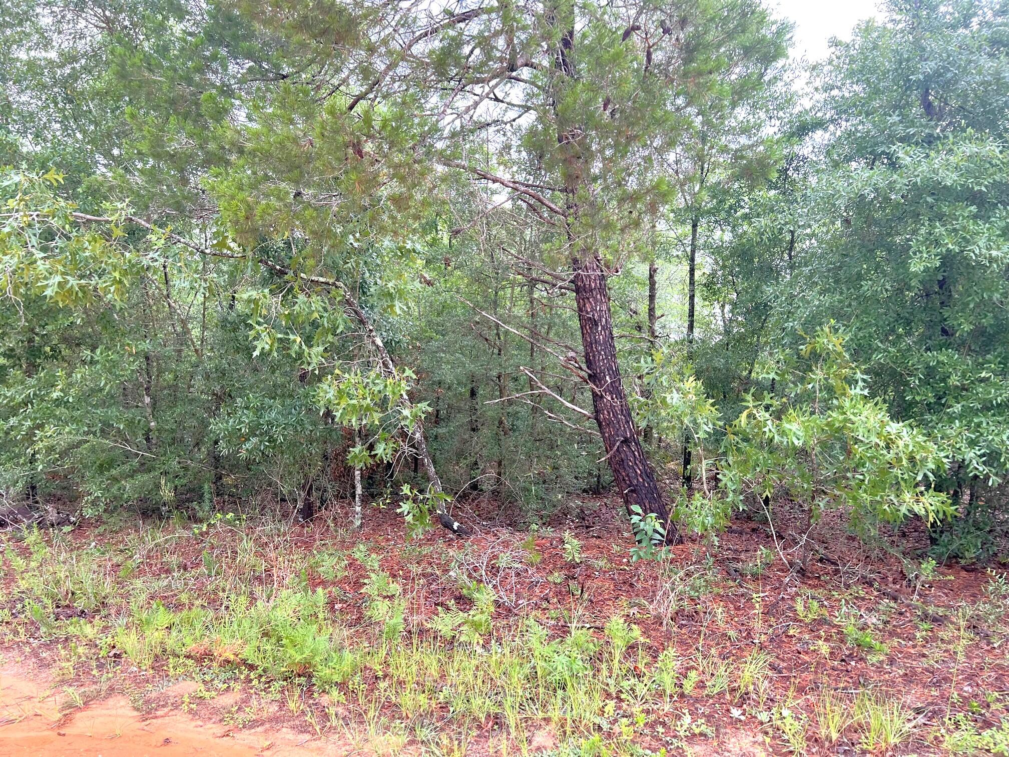 OAKWOOD HILLS UNIT 1 - Land
