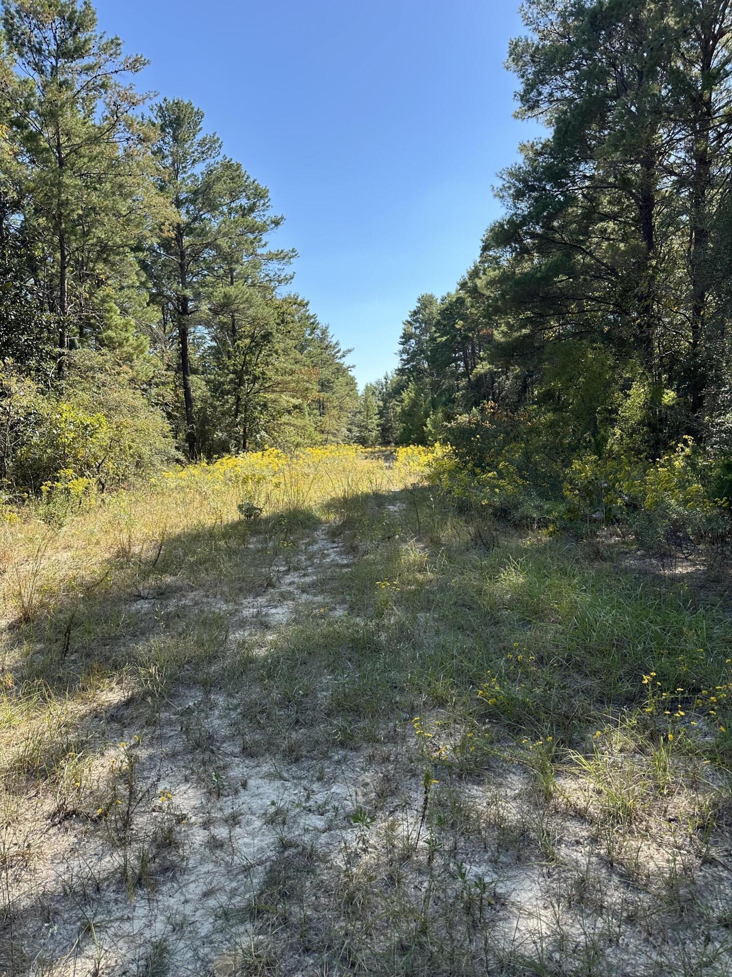 10 acres partially cleared land.  Bring your horses and animals.  Lots of potential for a beautiful Ranch, Cabin, with ease of access and privacy all in one.  Manufactured home in uninhabitable and has zero monetary value.