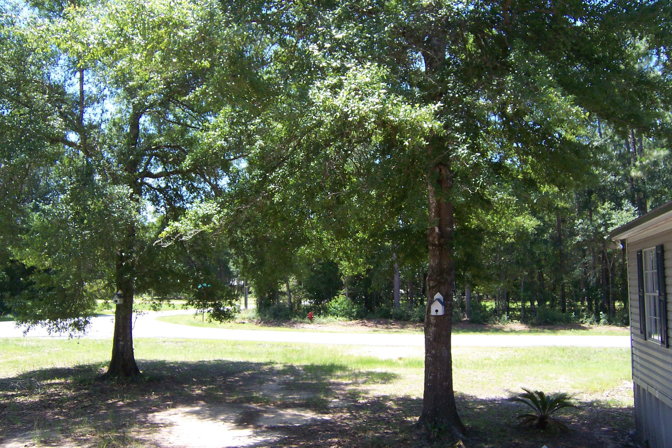 LAKE ROSEMARY SOUTH - Residential