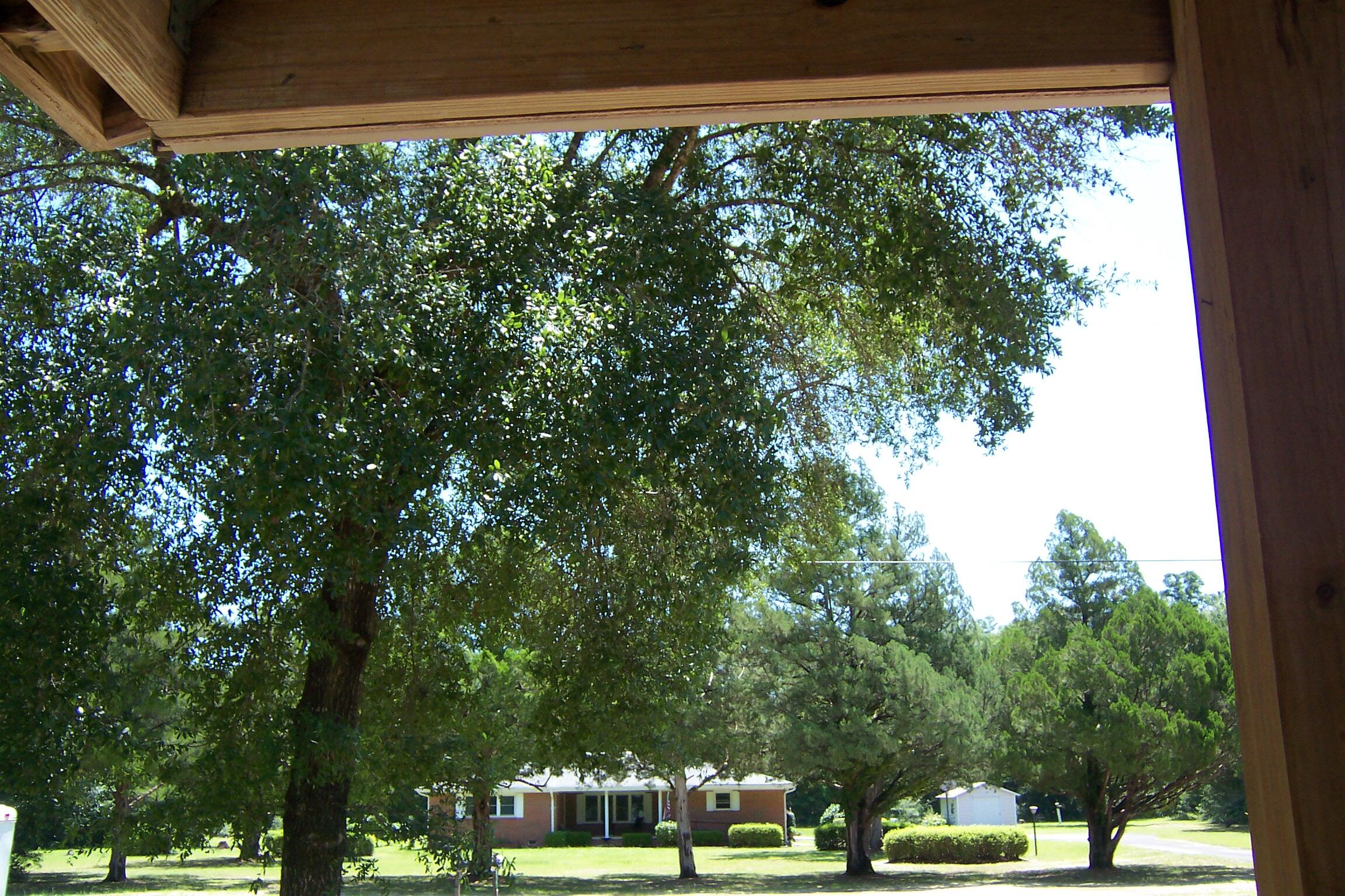 LAKE ROSEMARY SOUTH - Residential
