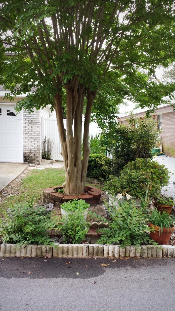 ADASHAN GARDYNS - Residential