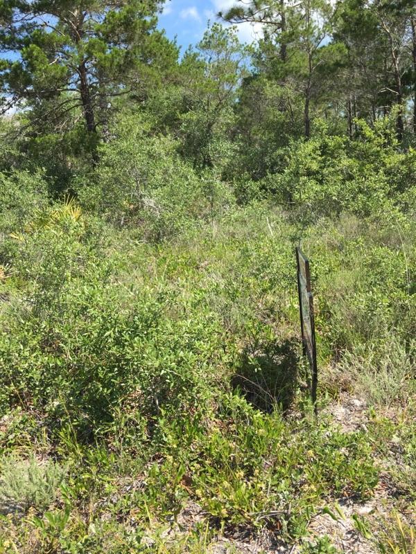 SANTA ROSA SHORES EAST - Land