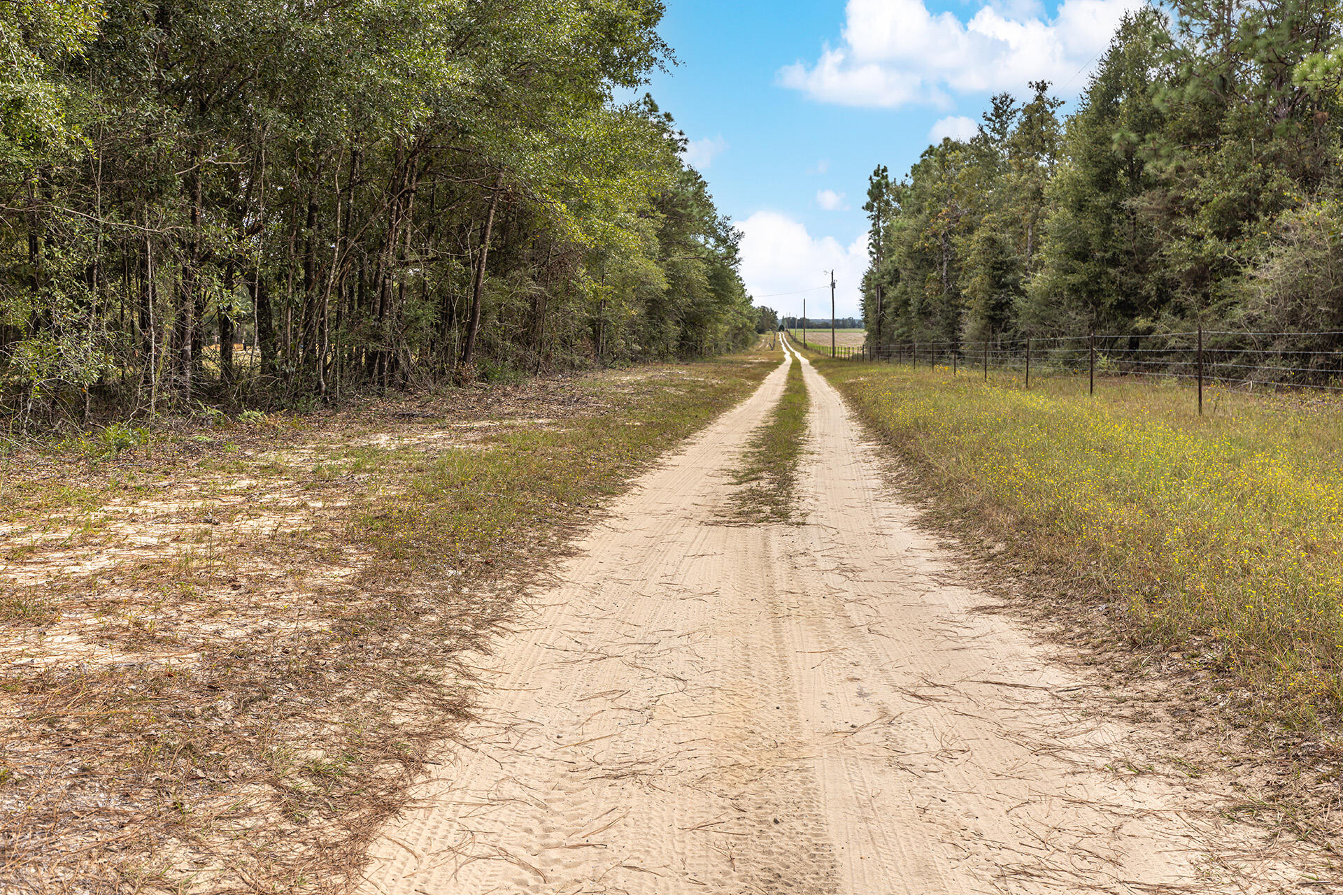 ORANGE HEIGHTS - Land