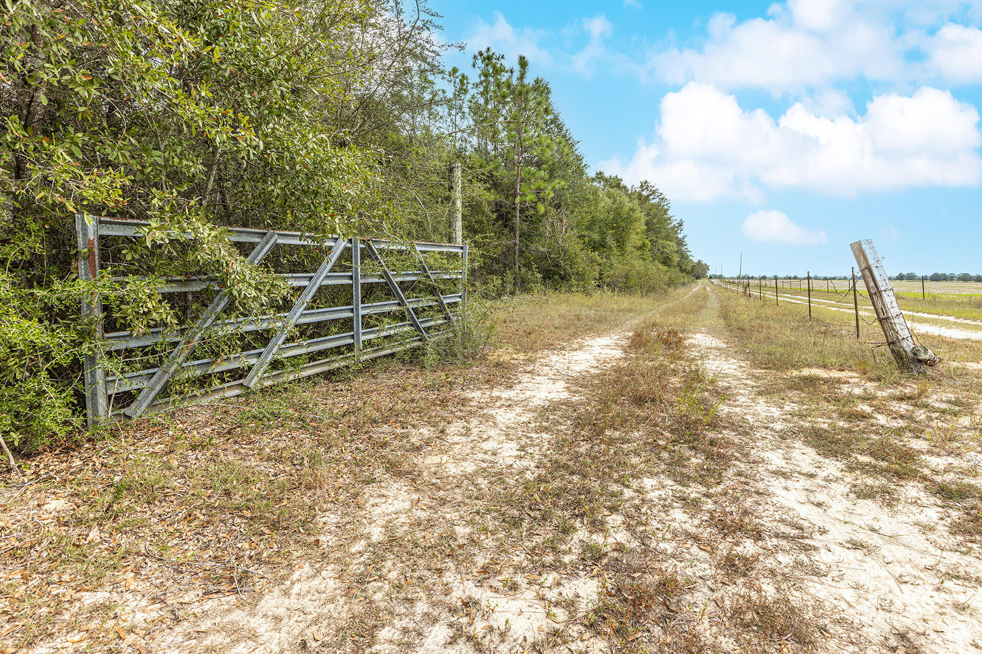 ORANGE HEIGHTS - Land