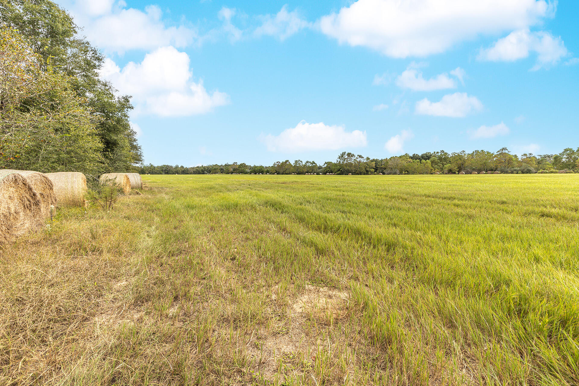 ORANGE HEIGHTS - Land