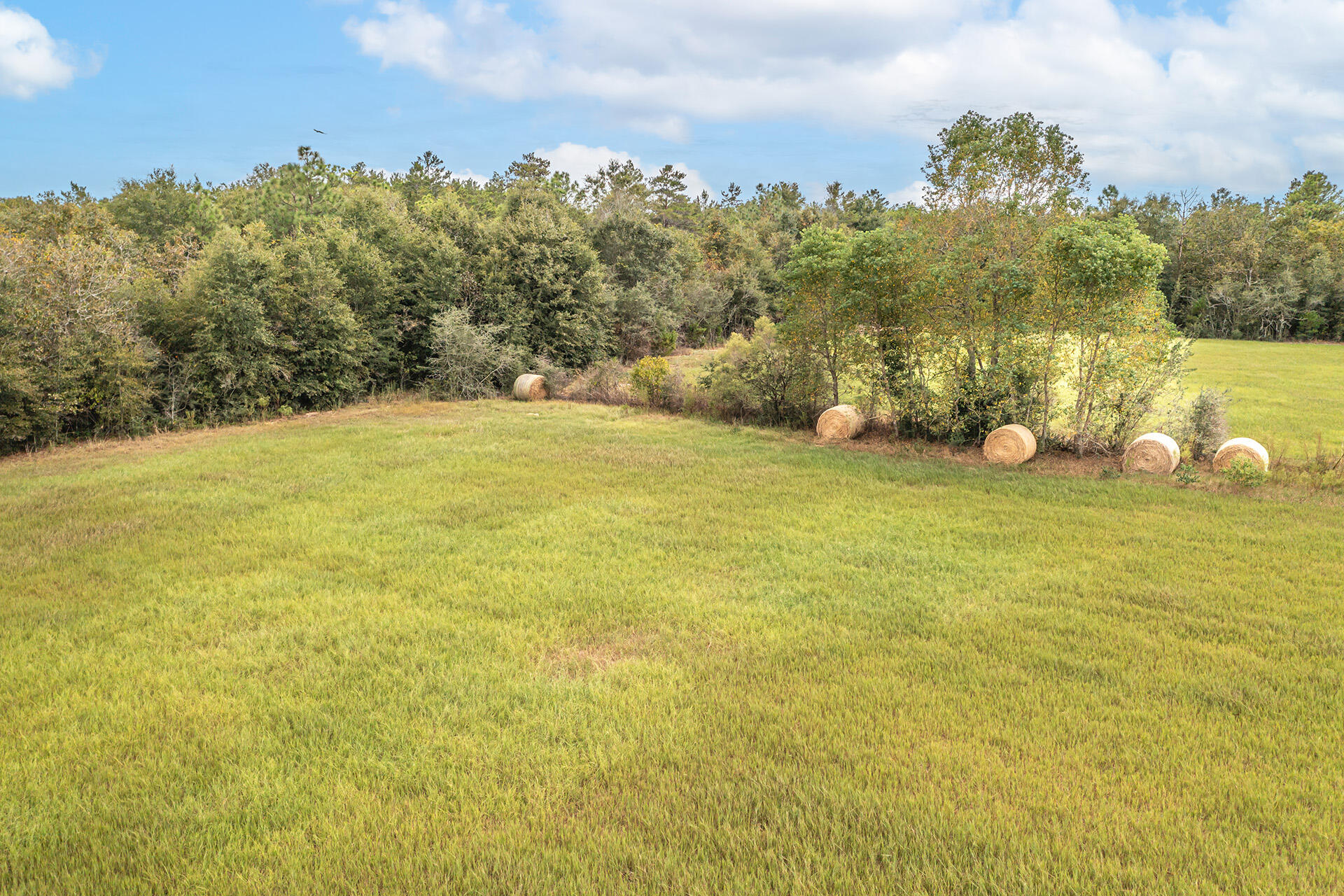 ORANGE HEIGHTS - Land