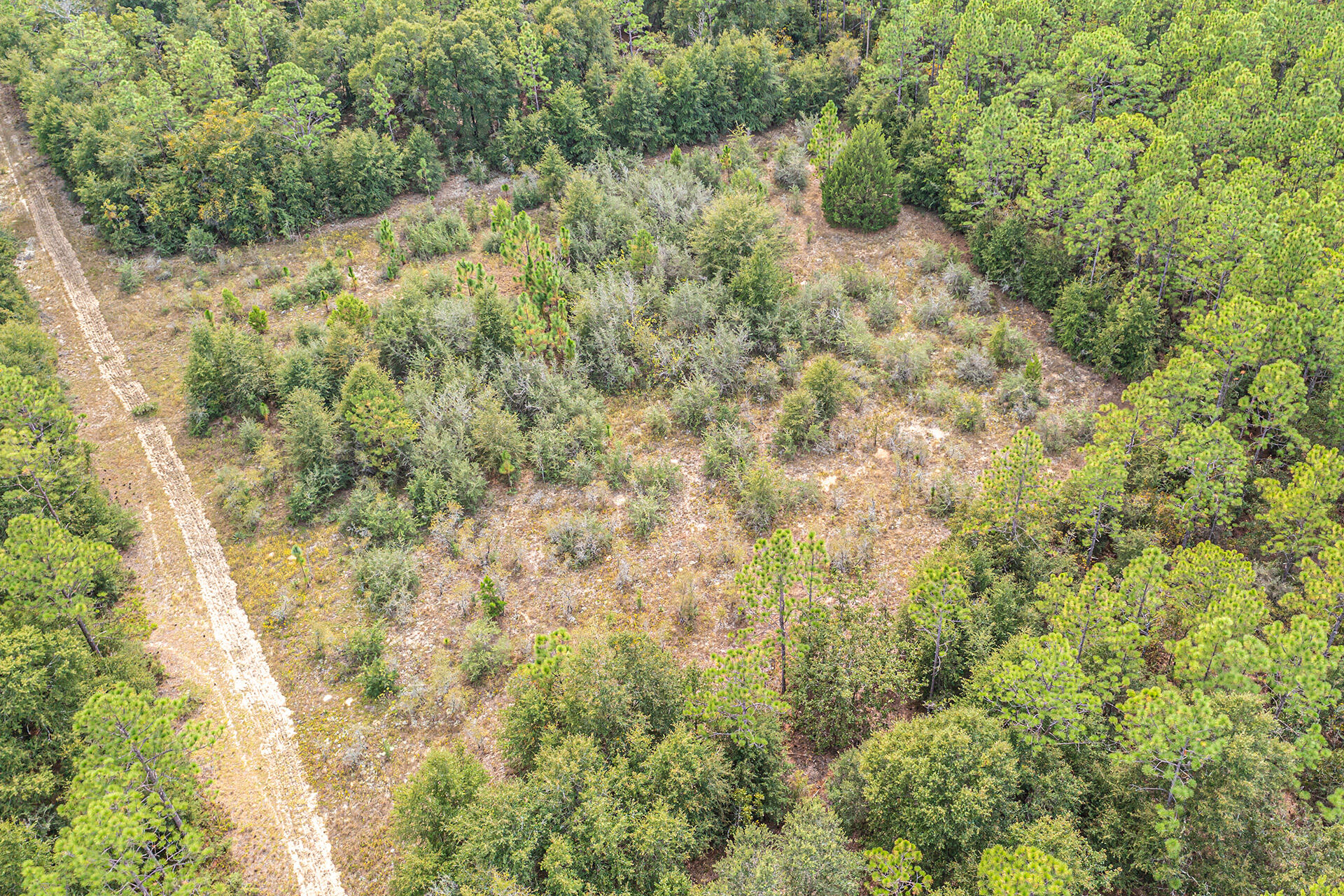 ORANGE HEIGHTS - Land