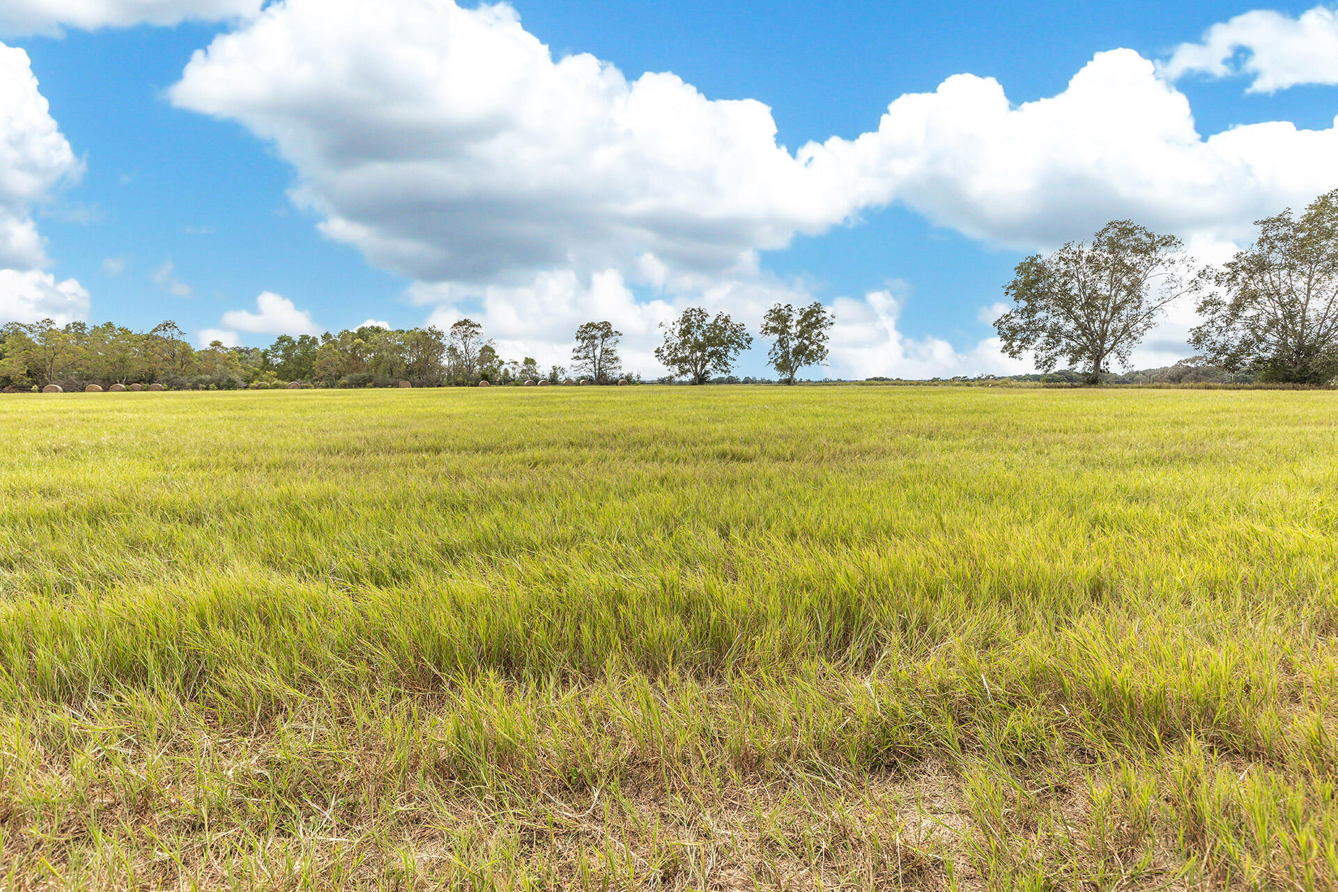 ORANGE HEIGHTS - Land