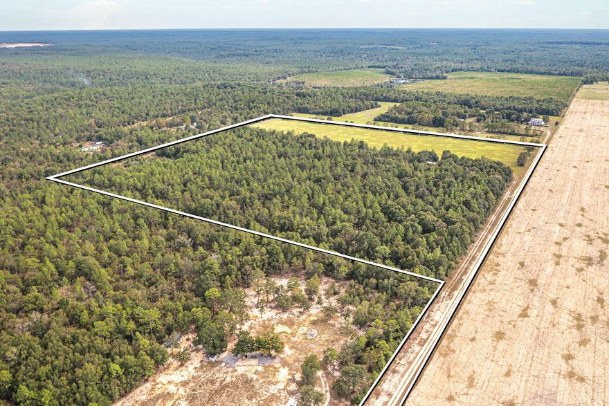 Farmland, home site, horse stables/arena, cattle farming, to include bringing your pigs, chickens, goats, donkeys, you name it. How about a pumpkin patch with a hayride? Or a field of sunflowers for private photo shoots. Other ideas include large scale vegetable or flower gardening, shooting range, axe throwing...so many options exist for the use of this property, what else have I forgotten to mention? Let your imagination run rampant! Long time family-owned acreage in the New Harmony area is being offered for the first time ever! The seller is torn about selling but here comes unexpected life changing times! Located just far enough in the north county to make it feel like the ''woods'' but still close enough to get back to the everyday grind at the end of the weekend. Click more The land is zoned general agricultural and currently has someone renting a small portion of land to grow and bale hay two times a year. Approx. 15 to 18 acres, per seller's annual agricultural form is what is being rented. This land is high and dry in flood zone "X". This flat and level property makes maneuvering the lay of the land very amicable. The existing shed has a metal roof and a two-car metal covered carport. This structure could easily be turned into a "tiny" house. It could be so cute in this truly country setting with nature abounding! 41 total acres = 26 acres plus or minus loaded with timber and 15 acres plus or minus is cleared pasture land.