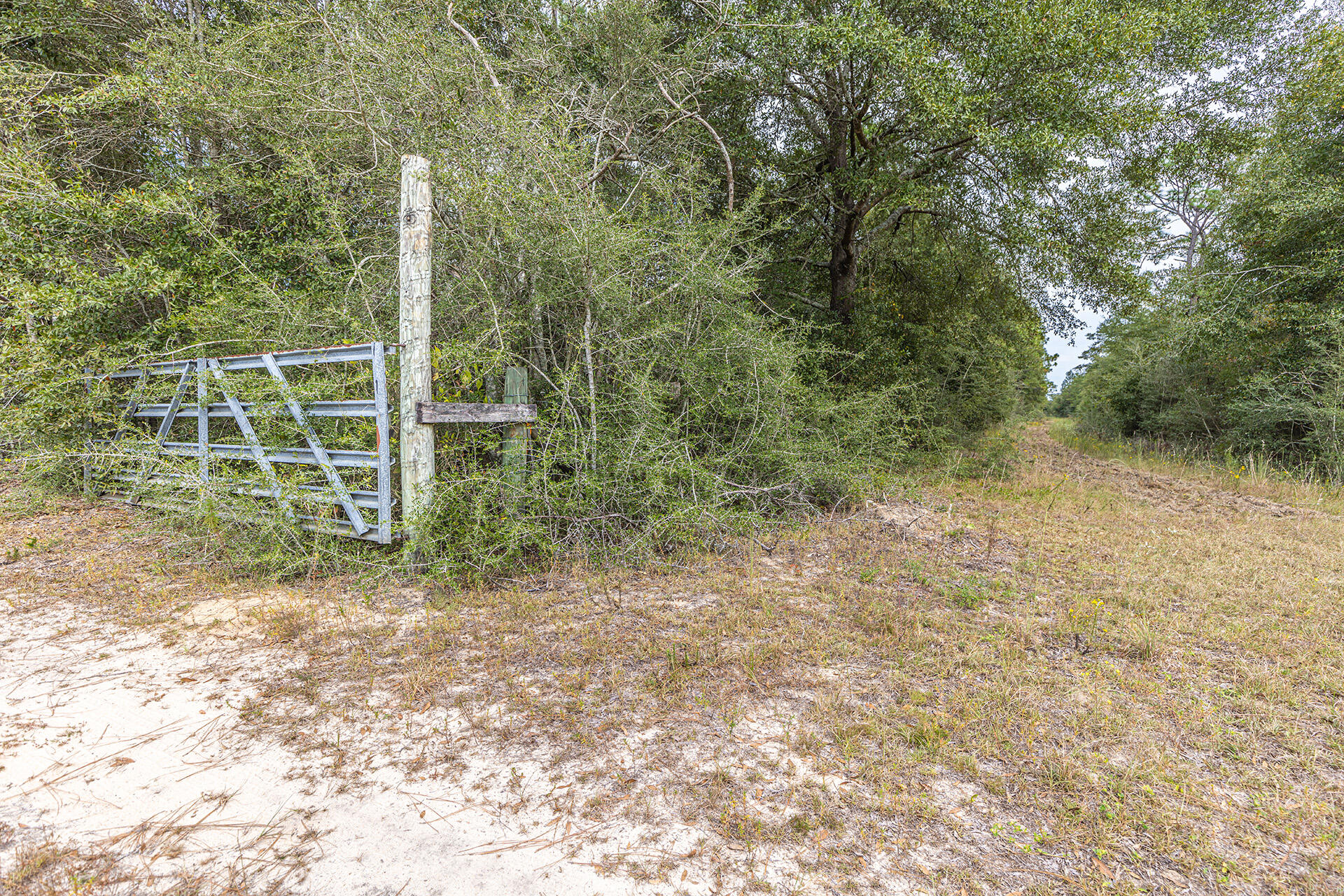 ORANGE HEIGHTS - Land