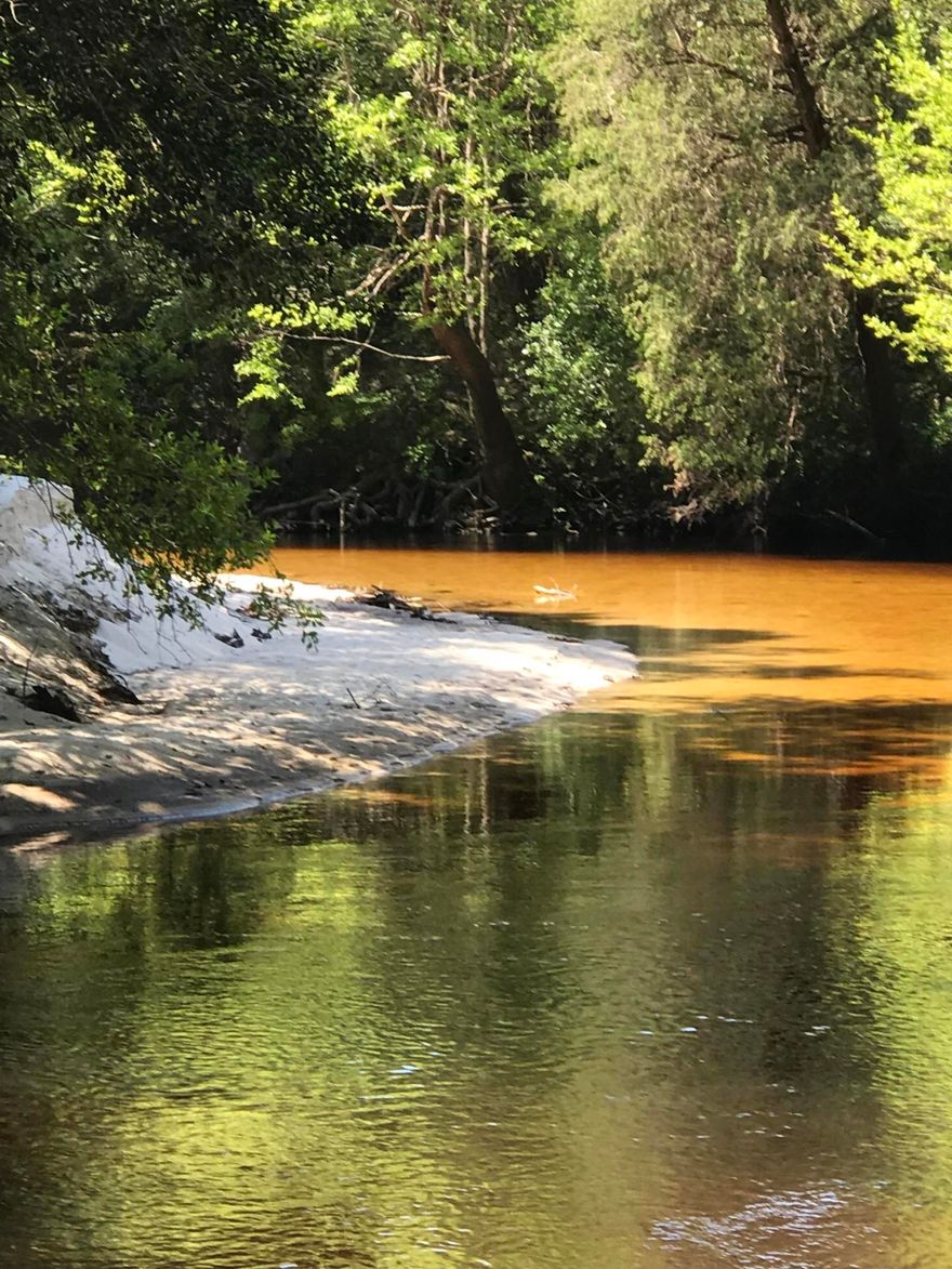 RARE OPPORTUNITY to purchase 90+/- acres with approx. 1,800+/- feet of river frontage surrounded by thousands of acres of Blackwater River State Forest land. Property is heavily wooded and would make the perfect location for a sportsman's retreat. White sandy river banks with the river winding through the lush forest adds to the beauty and mystique of this property. There is a 960 SF camp house with well, septic and electric already in place. Land fronts both sides of the river for added privacy. Access to this property is completely by paved road access, which is rare for such a large private parcel in Blackwater. Gas line utility easement runs through property which is readily observable on the attached aerial photo. There are not many privately owned larger riverfront parcels