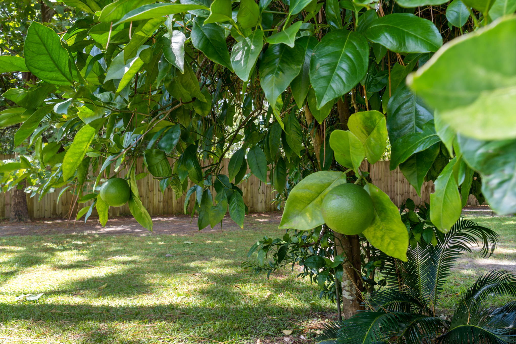 NAVARRE S/D 2ND ADDN - Residential