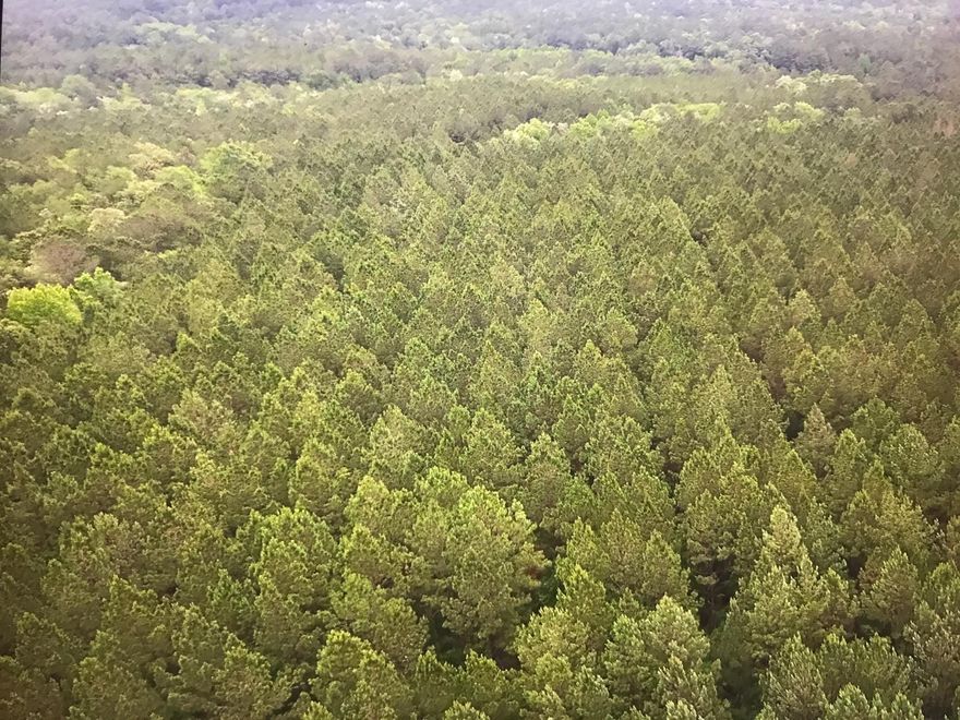 25 acres, situated on parcel B of 541 Mountain Valley Drive. Any sheds, outbuildings, and lawn pumps are being sold in ''as is'' condition and no value will be added. Buyer to verify measurements.