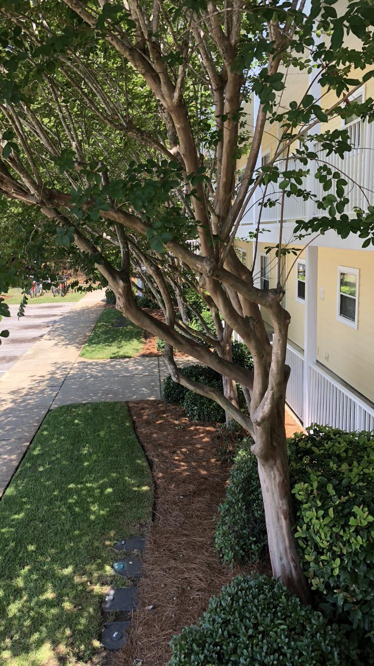 POINT OF VIEW CONDO - Residential