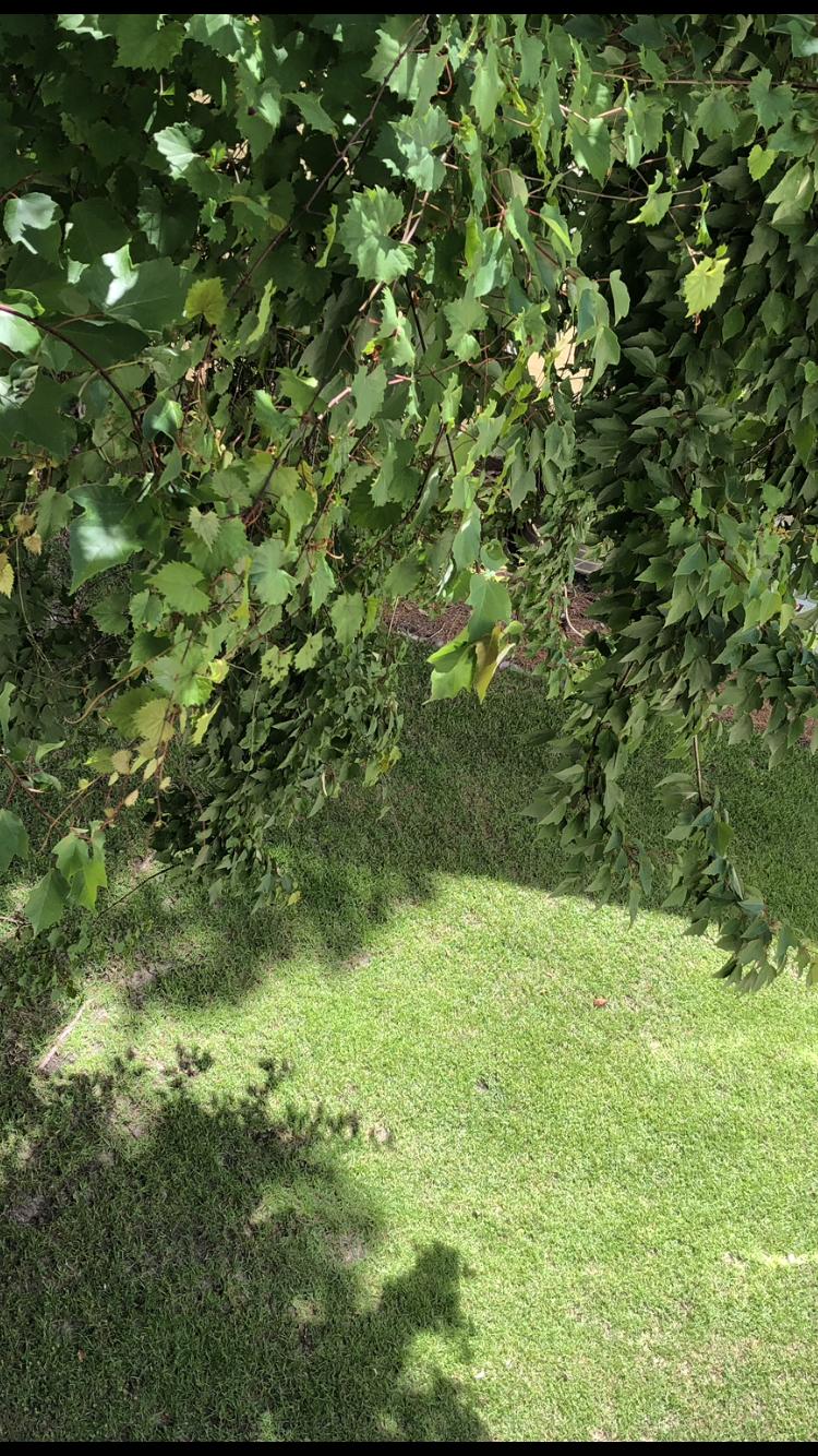 POINT OF VIEW CONDO - Residential