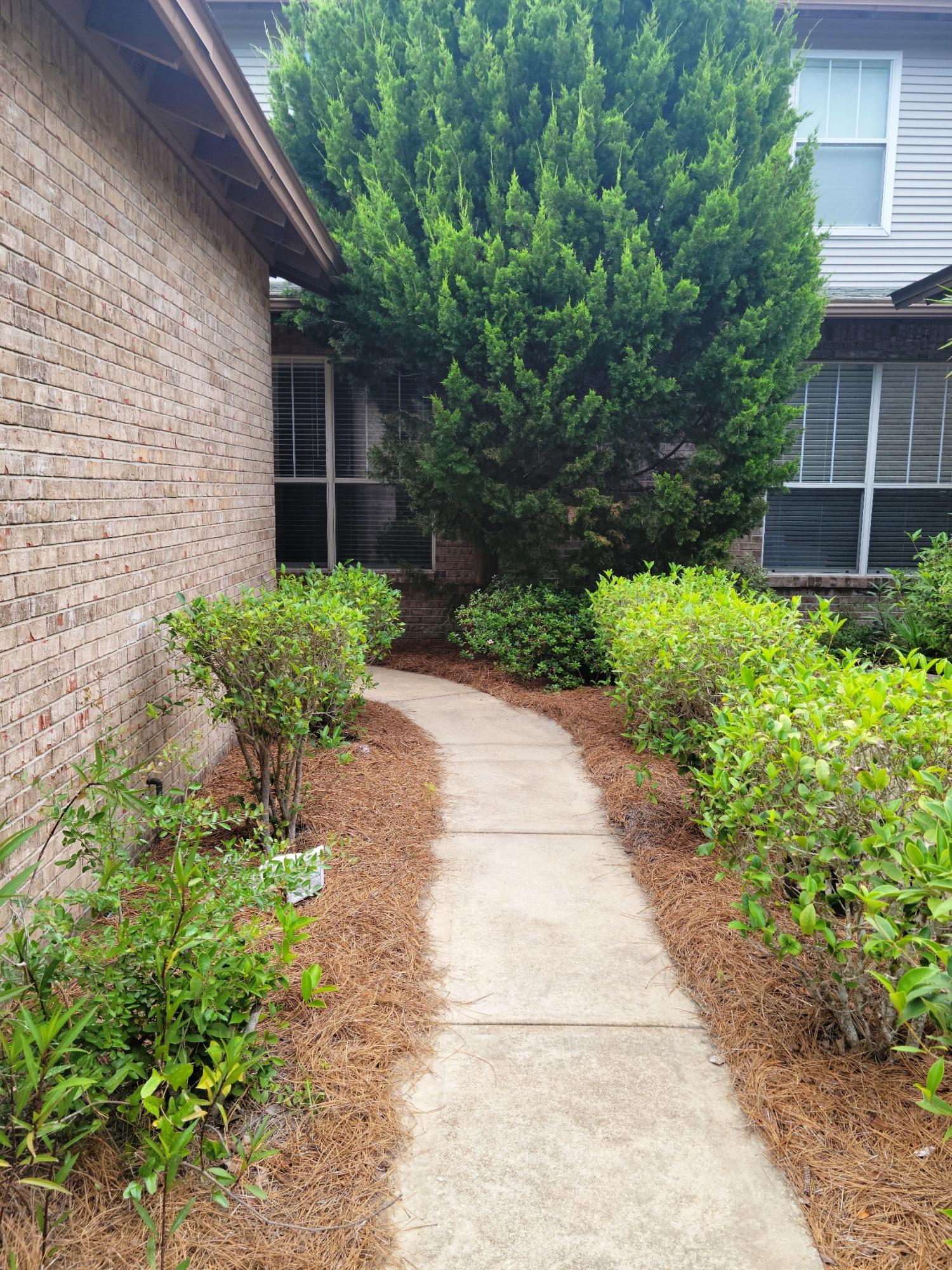 ESCADA - Residential