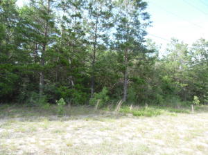 80X125 Lot on Hwy 90 W just before the Dollar General Store in Mossy Head. Mossy Head water tap is available. Adjacent lot25 (MLS #8476380 and Lot 24 (MLS 847640) are available for purchase also. All measurements are Subject to an up to date survey.