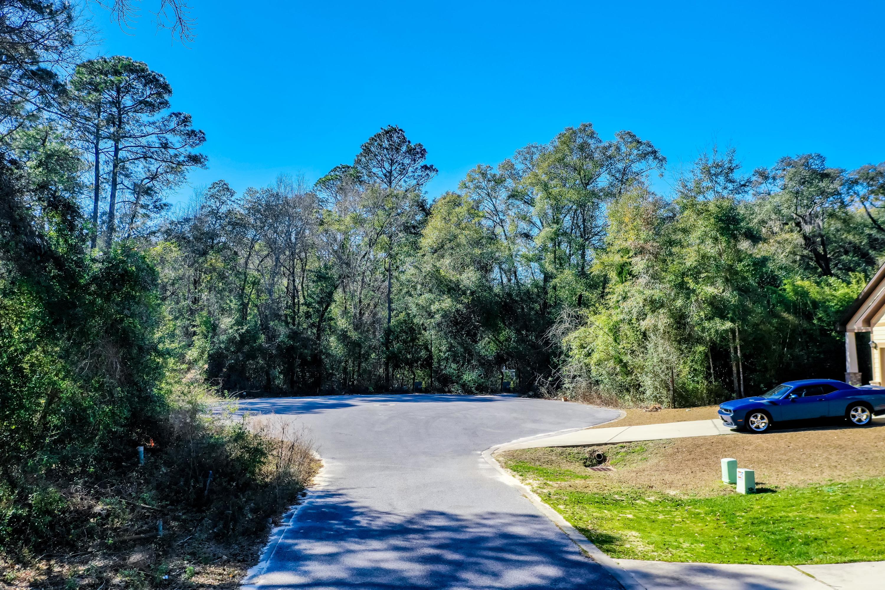 Now is your chance to build your dream home in Freeport, FL! Freeport is located only 30 minutes from the beautiful beaches of the Emerald Coast. This wooded lot is situated in a cul de sac perfect for a nature enthusiast. Canopies of Freeport has a low HOA fee of $125 per quarter to cover common areas and the neighborhood pool! Freeport offers residents a suburban-rural mix feel, close to the beaches but without heavy traffic. While we believe all information to be accurate, buyers verify all information.