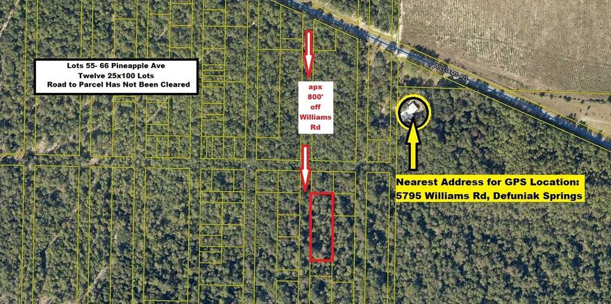 .69 Ac parcel; Twelve 25x100 ft. lots. Located in Orange Park S/D (platted s/d but roads have not been cleared).