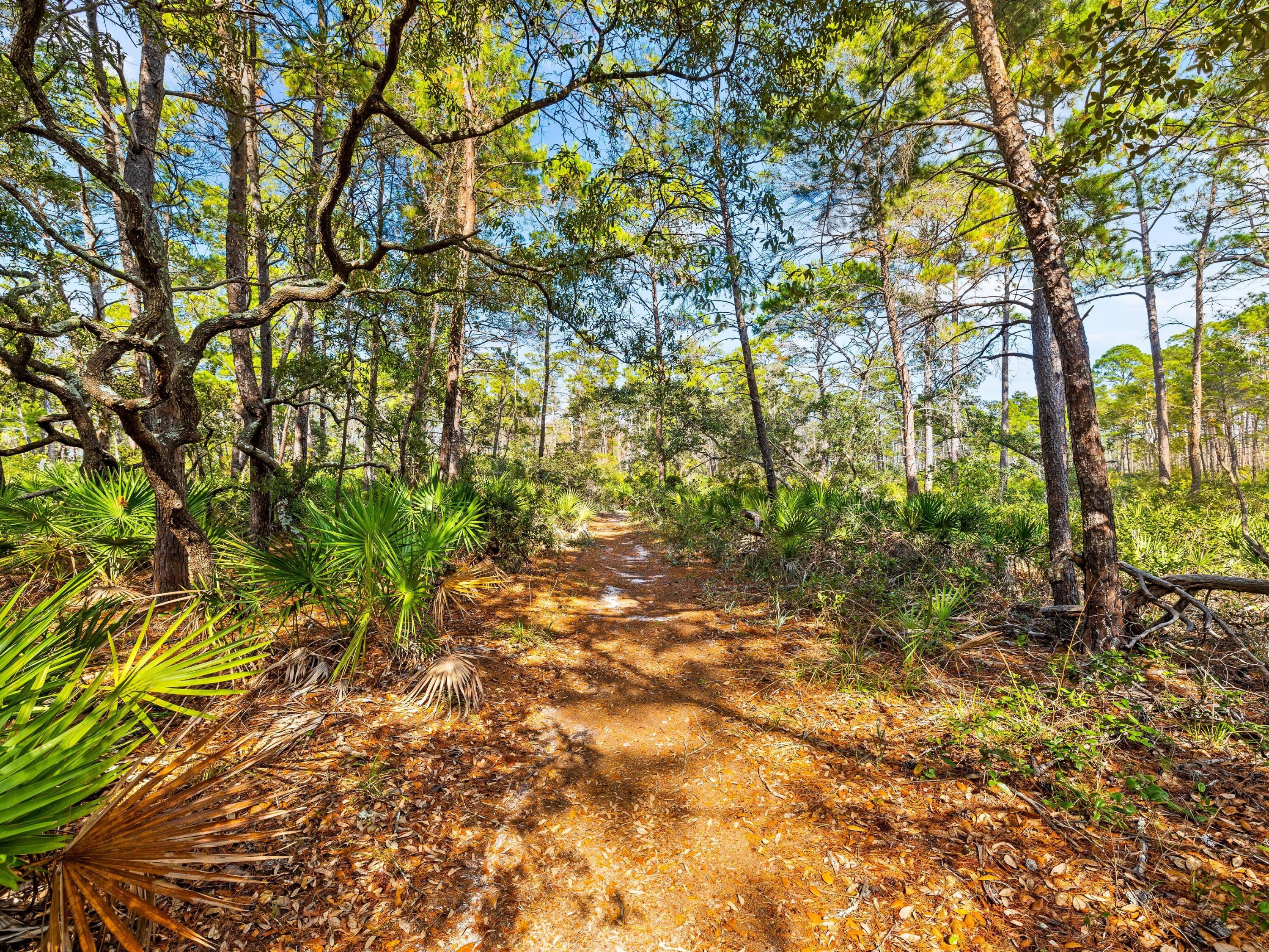 Cassine Village - Residential