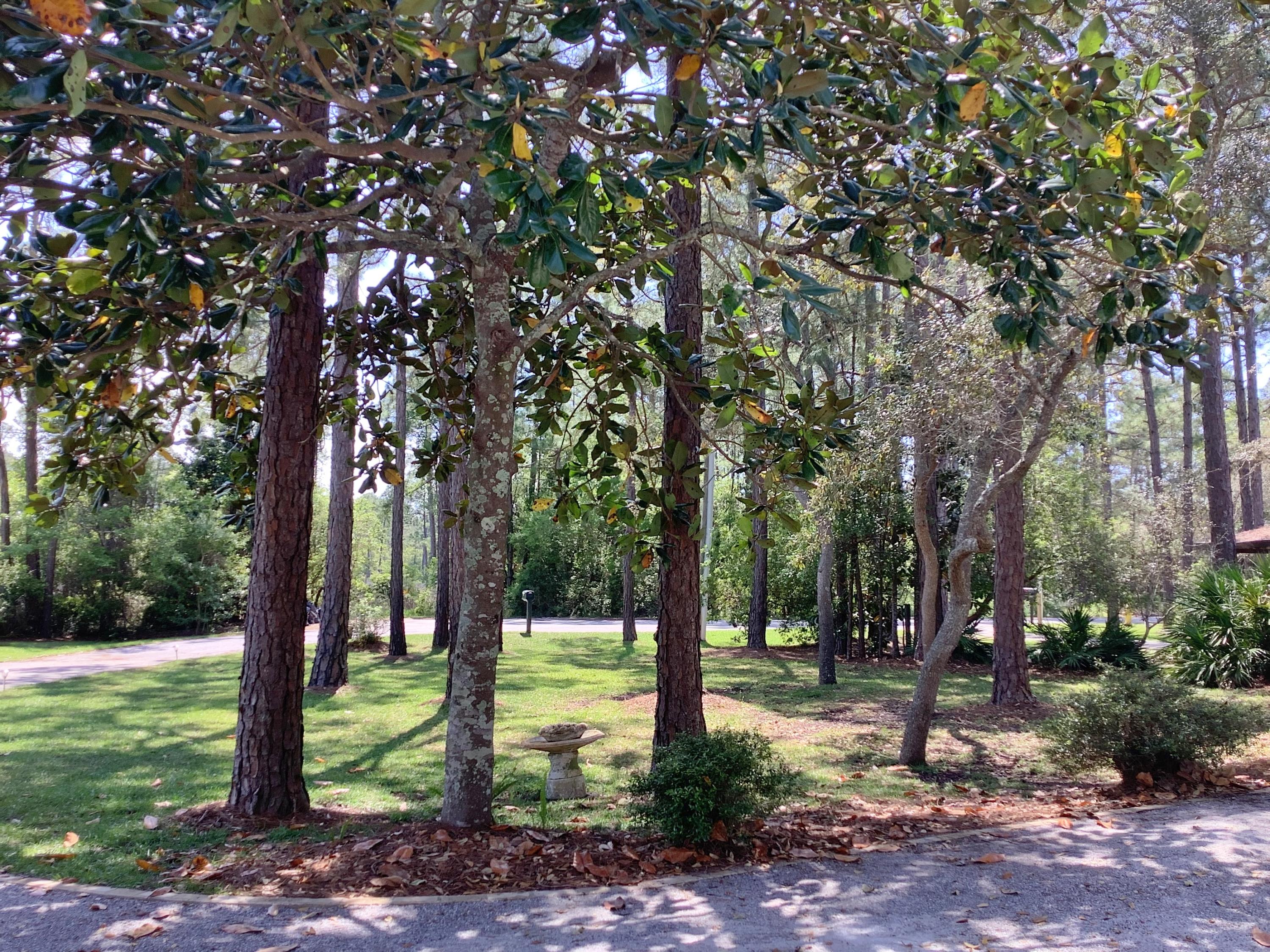 BAY PINES - Residential