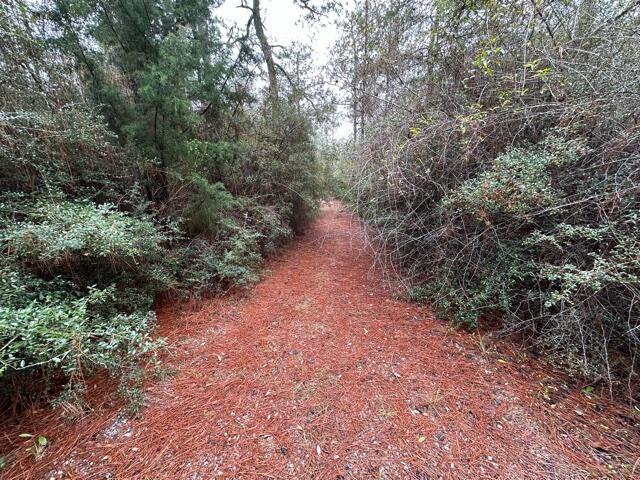 9.5 acres in the country but still within a short distance to Crestview or Defuniak Springs. The perfect place to build your forever home. Be in the country but still close to military bases and a short drive to the beaches. Small trail to walk the lot. Lot also backs up to former small air landing field. Does not appear to have been in operating for a while.