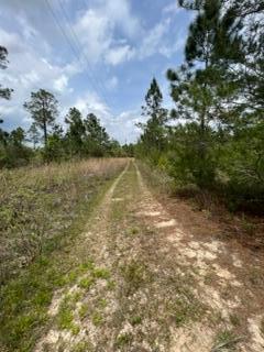 There is an existing power pole on the property. The City of Freeport services the water.Septic tank on property but has not been inspected since 2005.