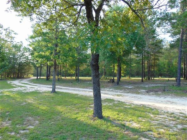 Elmwood Plantation Unrecorded - Residential