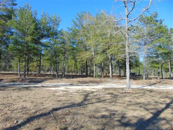 Elmwood Plantation Unrecorded - Residential