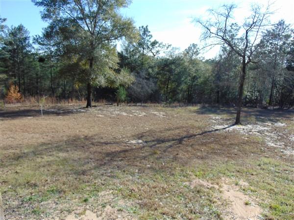 Elmwood Plantation Unrecorded - Residential