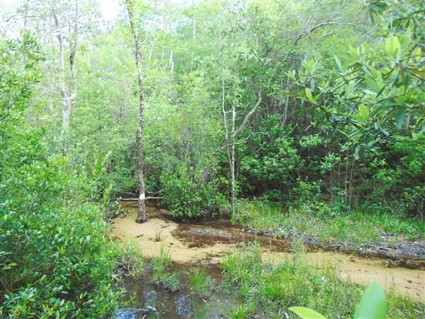 Elmwood Plantation Unrecorded - Residential