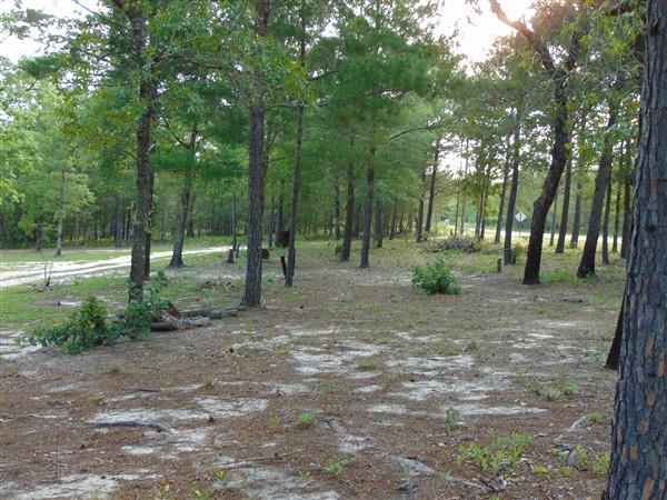 Elmwood Plantation Unrecorded - Residential