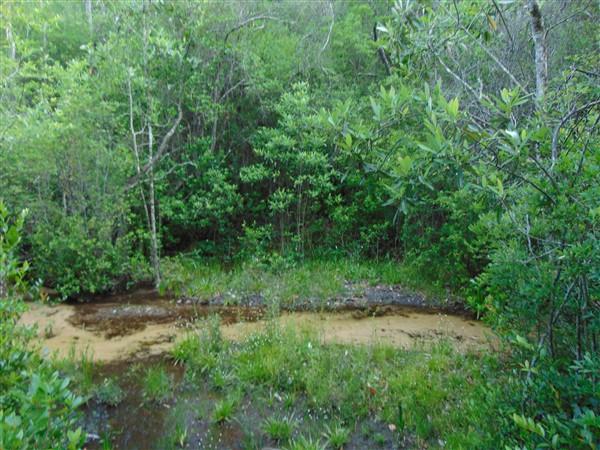 Elmwood Plantation Unrecorded - Residential