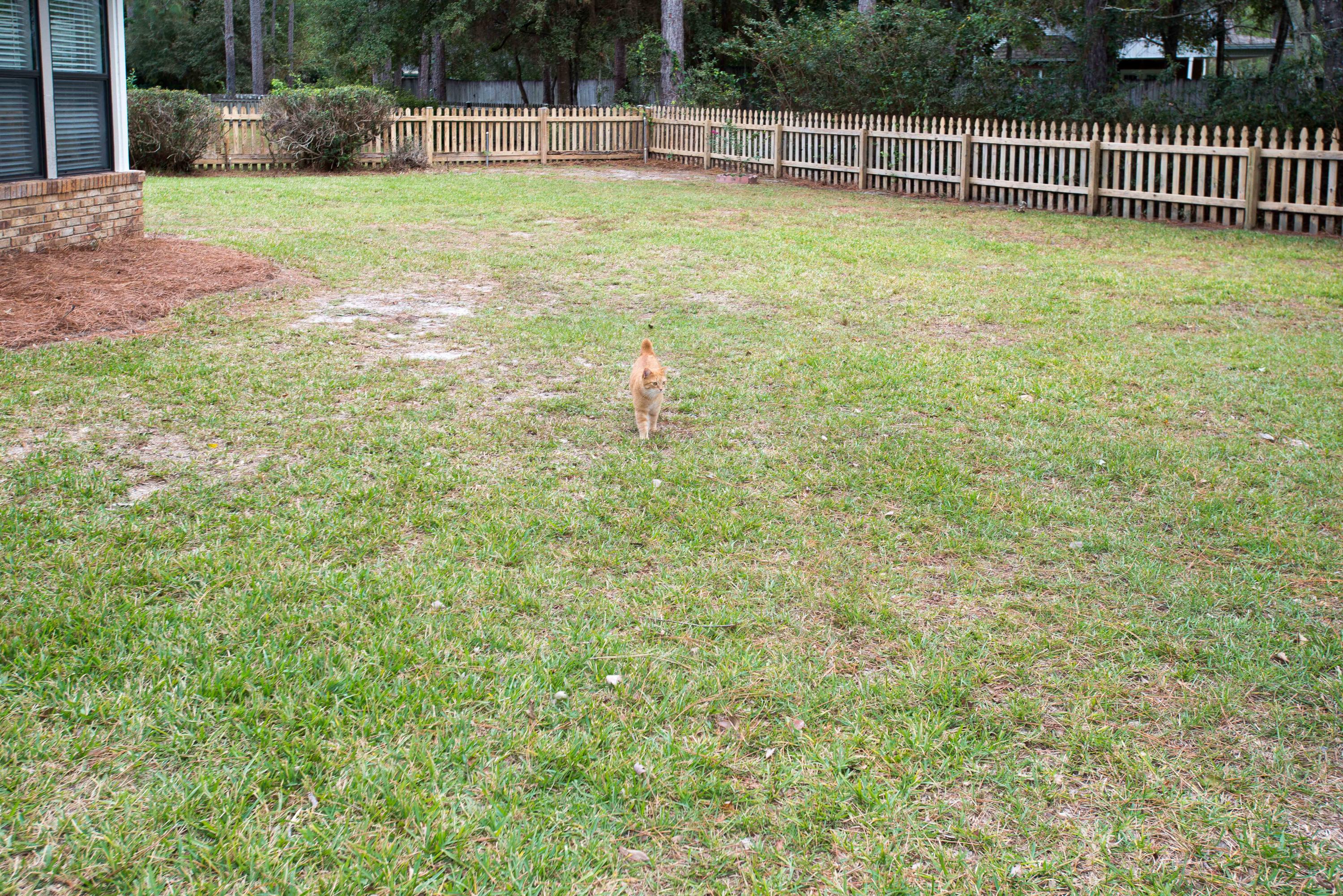 ST ANDREWS VILLAGE SOUTH 2 - Residential