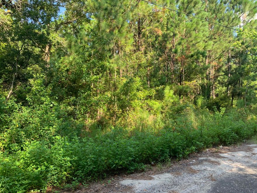 Here is an excellent opportunity to own a double lot just seconds from the Cessna Landing boat ramp and the Choctawhatchee Bay.  Head south and the beautiful South Walton Beaches are less than 4 miles away.  There is no HOA so build what you want or buy the lot to hold as the area continues to get built up.  This is your chance to be perfectly situated near the bay and the beach at a much more attractive price point.