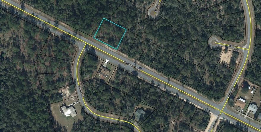 Nice .2515 acre lot. Sunny Hills is an established subdivision with over 20K lots and is currently being developed with several national builders. Subdivision offers an 18 hole golf course with Clubhouse, numerous lakes with white sandy beaches for recreational activities such as swimming, boating, and fishing, churches, best of all with NO HOA fees! Need city life? Panama City Beach. Northwest Florida Beaches International Airport, and Pier Park shopping are approximately a 45 minutes drive. Approx. 20 miles from local shopping, medical, and other local amenities in Chipley. Electricity is on the road in front of lot according to county. There are two lots in under this parcel and each being sold separately or you can purchase both to total .503 acres for $25K
