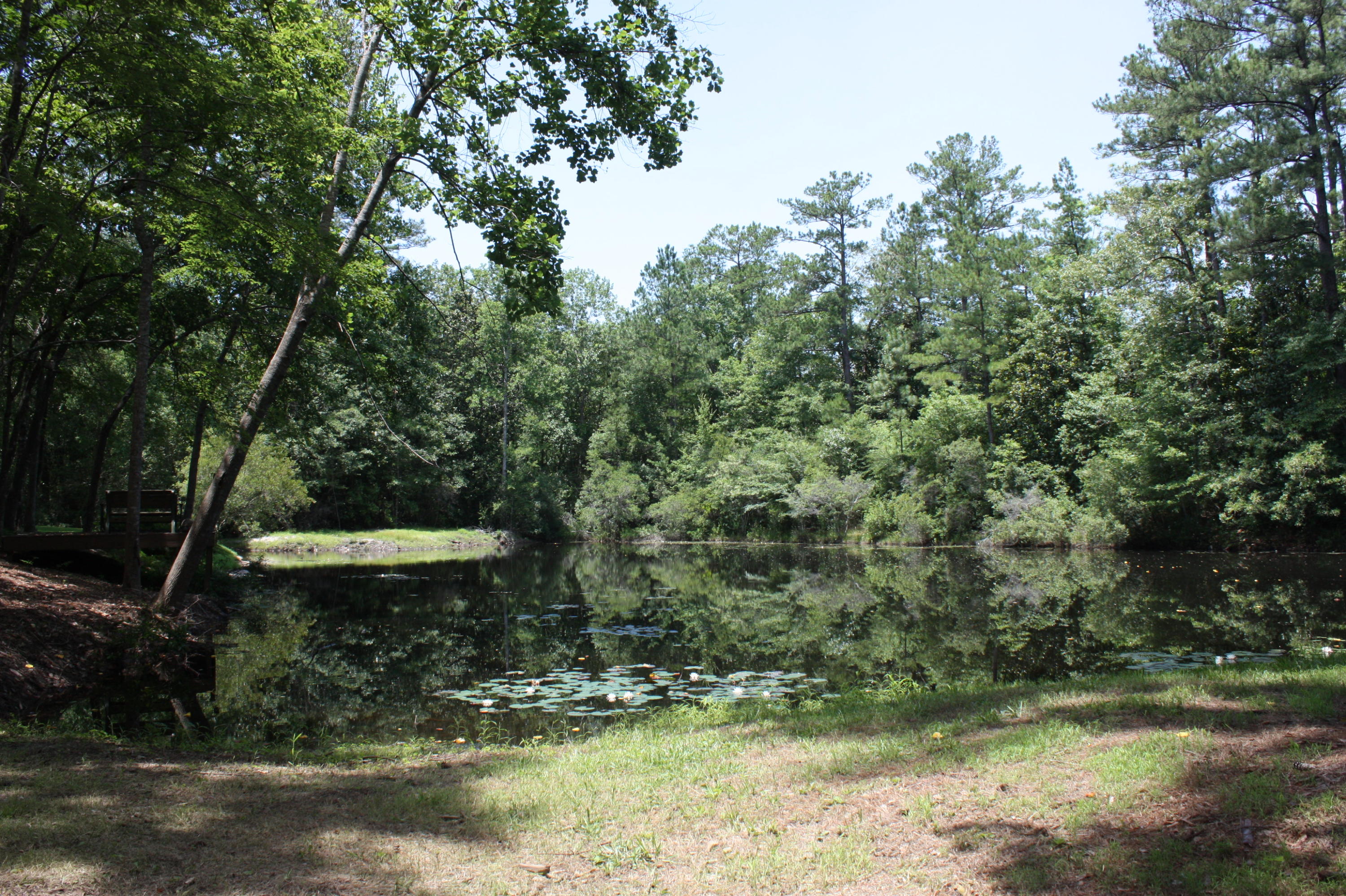 LAURELWOOD ESTATES - Residential