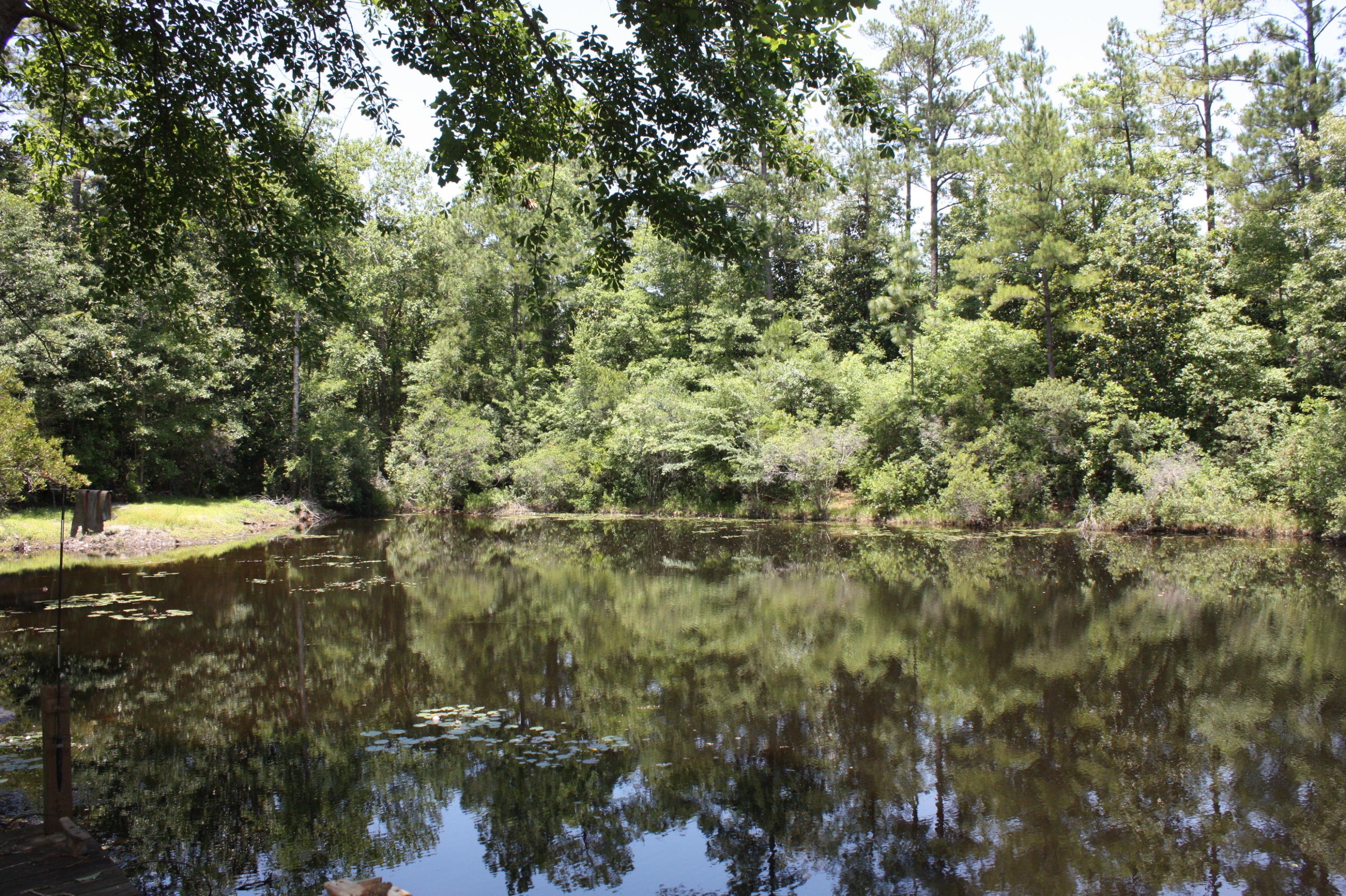 LAURELWOOD ESTATES - Residential