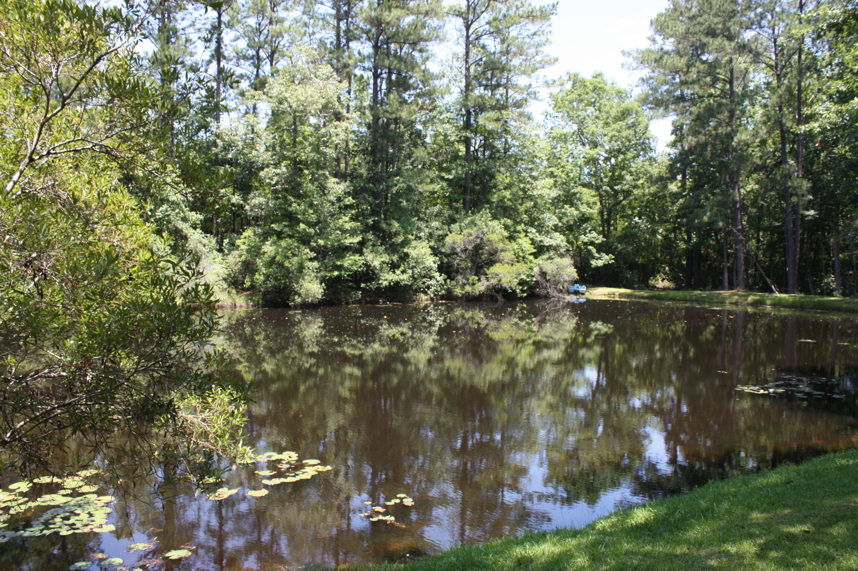 LAURELWOOD ESTATES - Residential