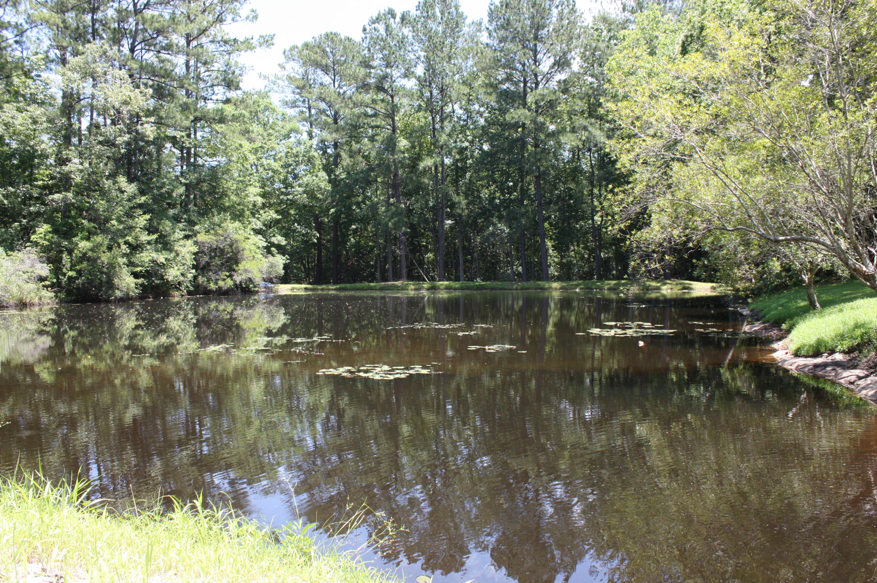 LAURELWOOD ESTATES - Residential