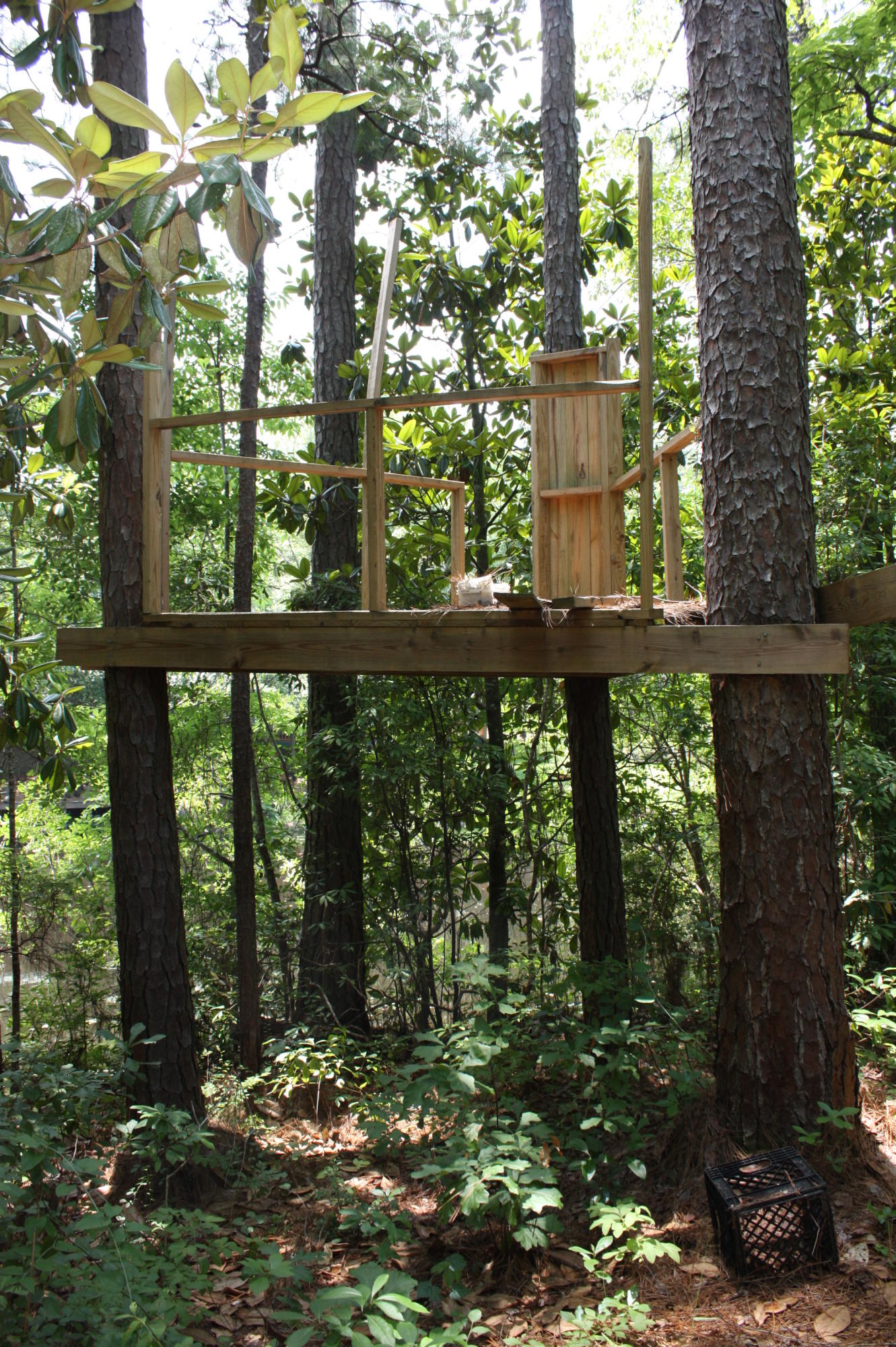 LAURELWOOD ESTATES - Residential