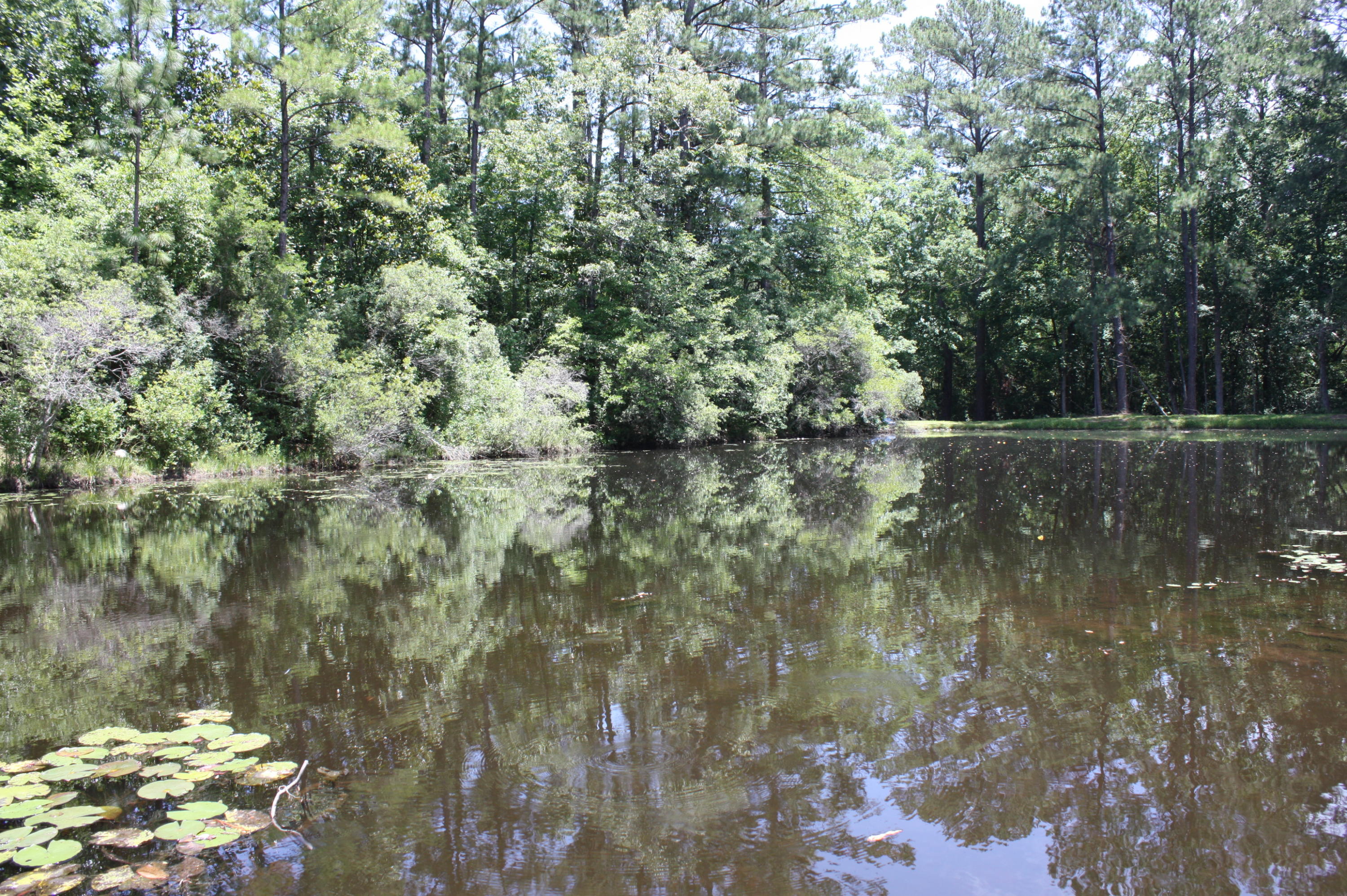 LAURELWOOD ESTATES - Residential