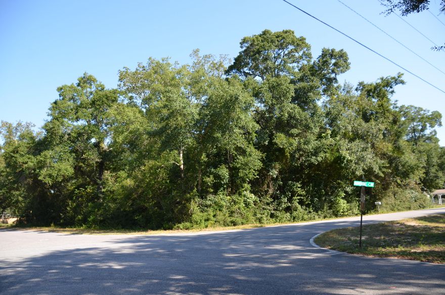 Grouped purchase of three wooded lots available in Villa Tasso just two blocks from the Bay.  Each individual lot is $68,000, or you can purchase all three together for a discounted price of $174,000.   No survey is available.  Lot dimensions are approximate.  Buyer should verify that the property can be utilized for the intended use prior to closing.  Zoning is Rural Village. See ''More'' for allowable uses. The area is a mixed use of houses and trailers.  Most new construction homes are utilizing three lots to build.  See More...