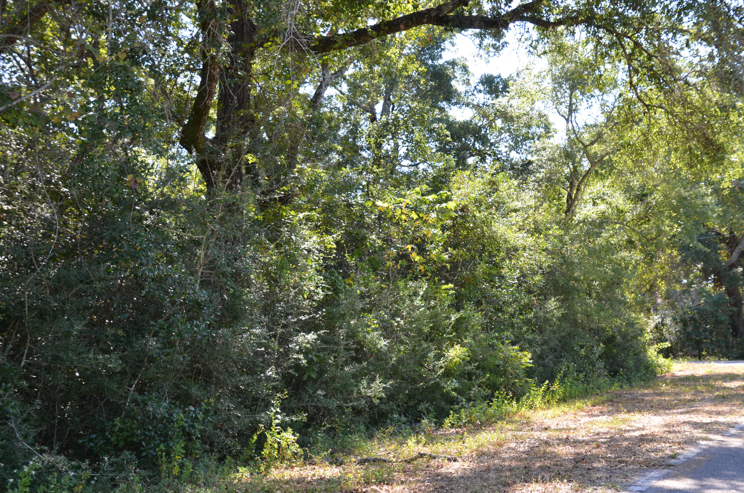 VILLA TASSO TOWN OF - Land