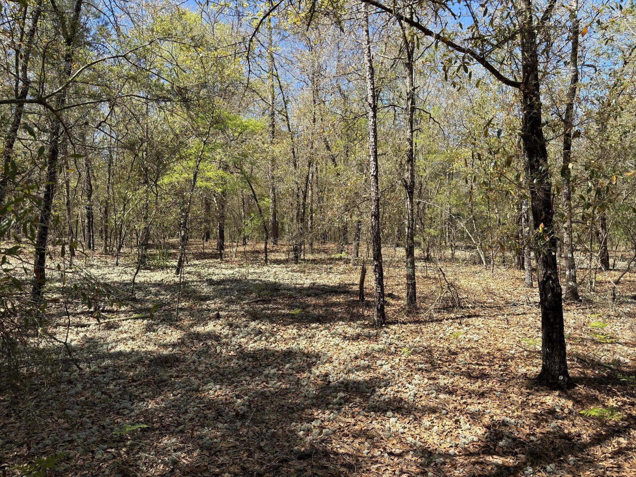 Belle Highland Est 1st Add - Land