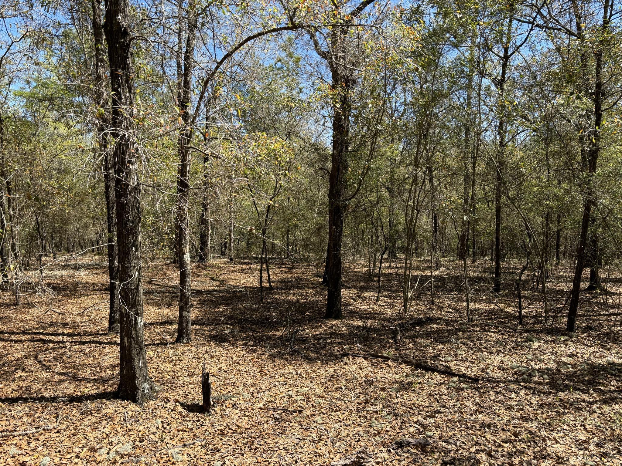 Belle Highland Est 1st Add - Land