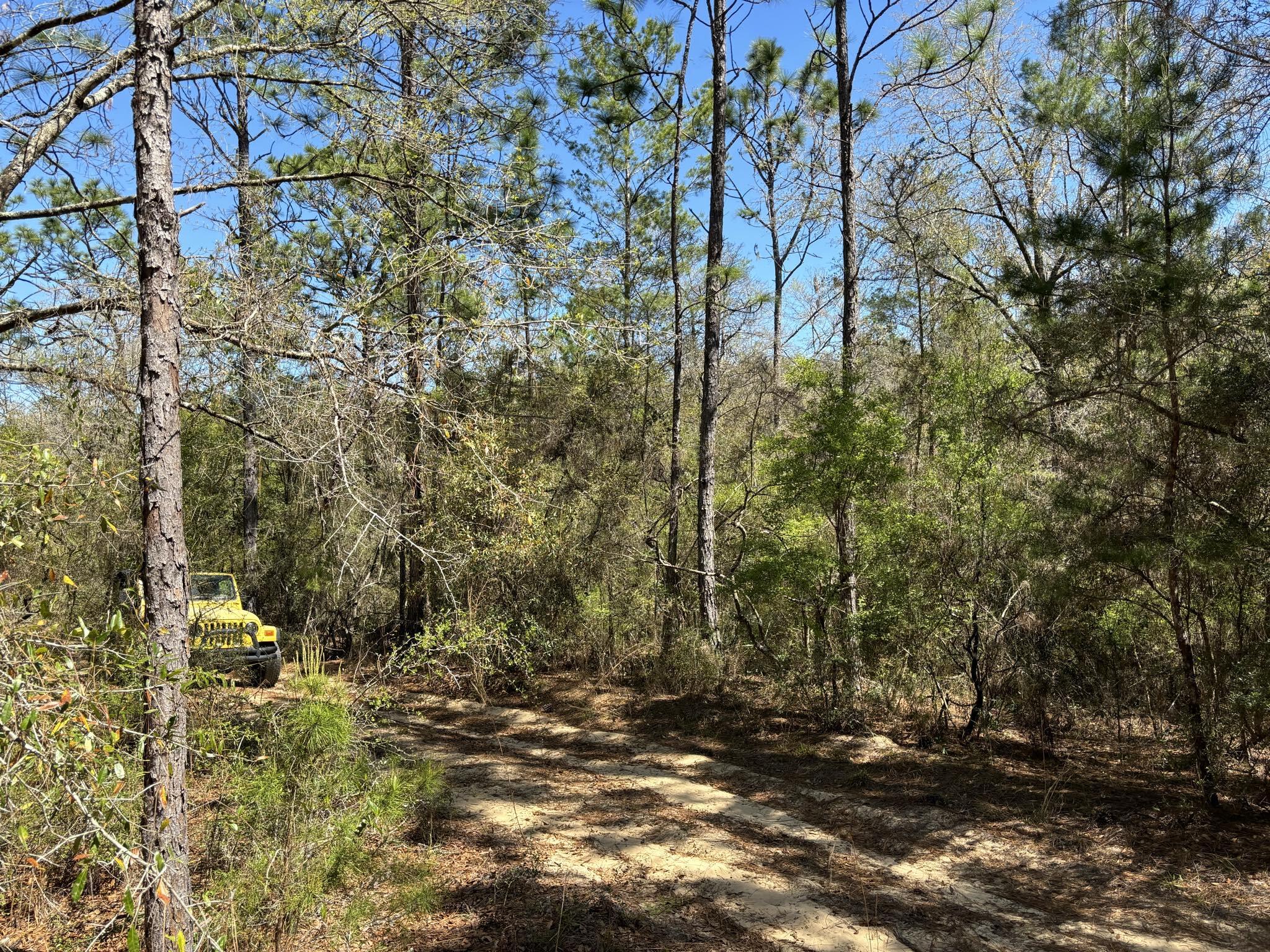 Belle Highland Est 1st Add - Land